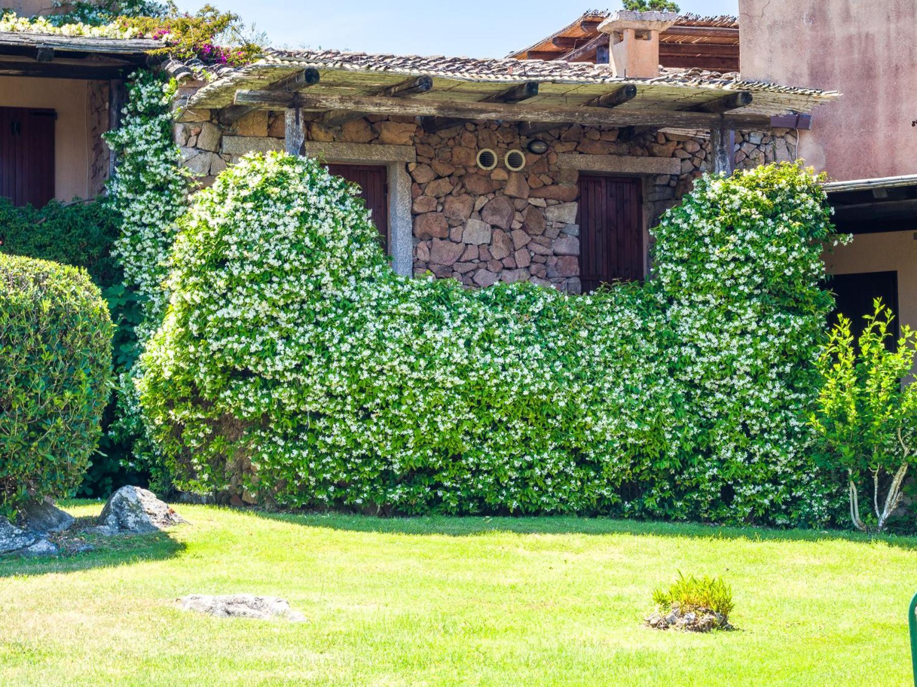 Caletta 10 - Klodge Porto Rotondo Ngoại thất bức ảnh